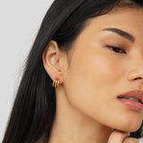 Anaya Triple Gold Hoop Fülbevaló